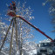 PHOTO-2021-02-26-13-20-42 9
